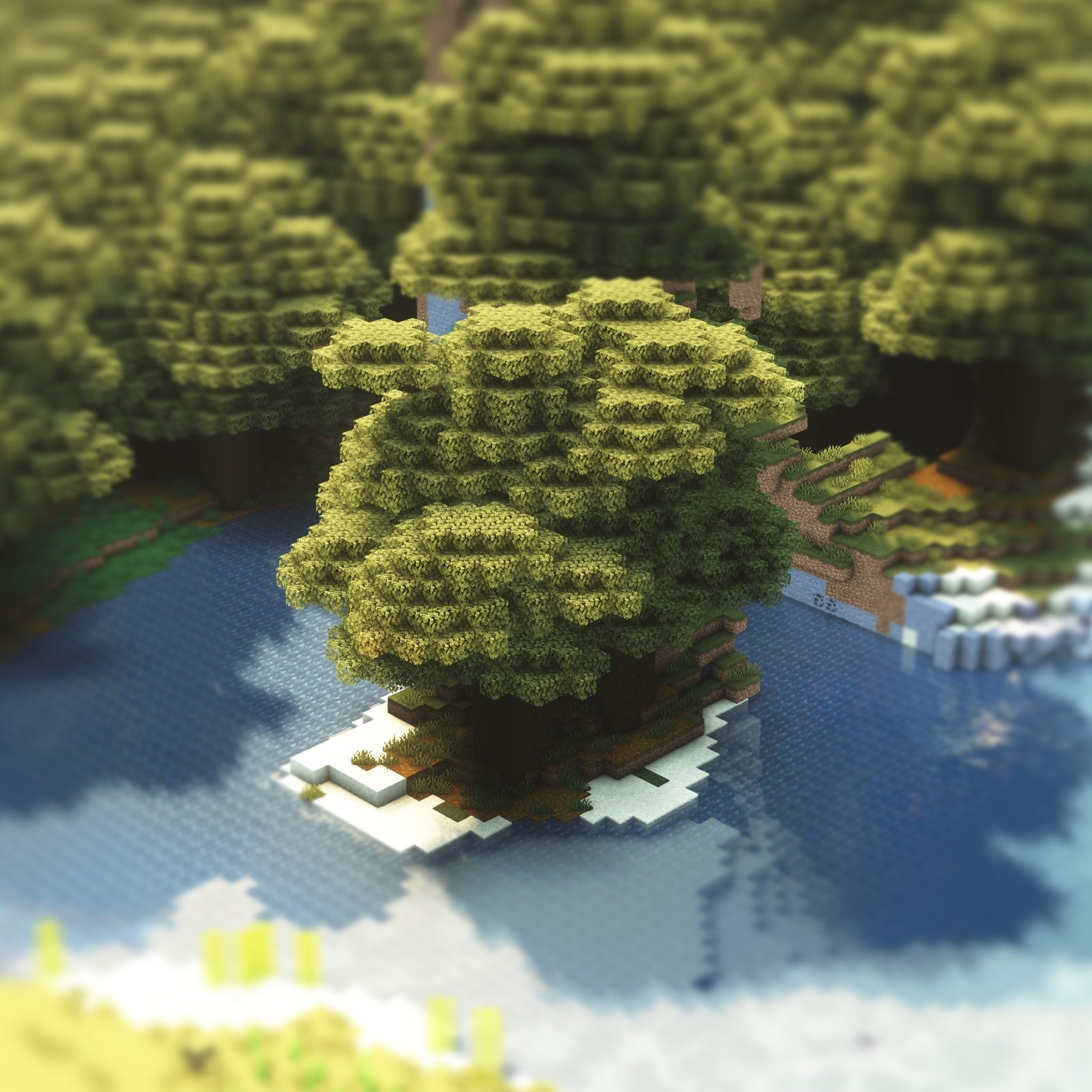 Forest(TiltShift)